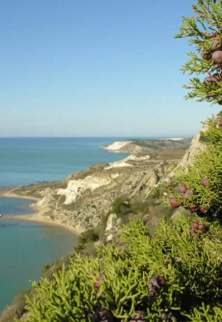 Stairway to Andromeda